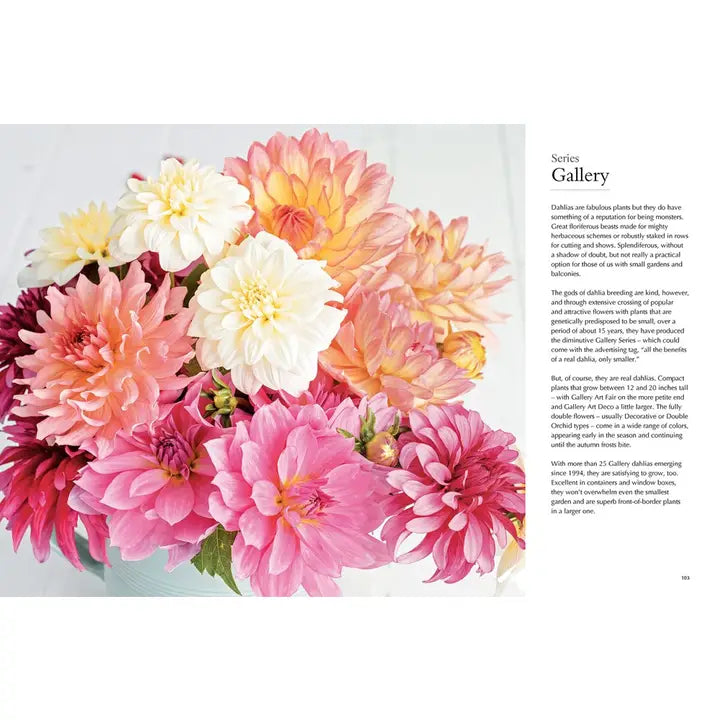 Dahlias Hardcover Book