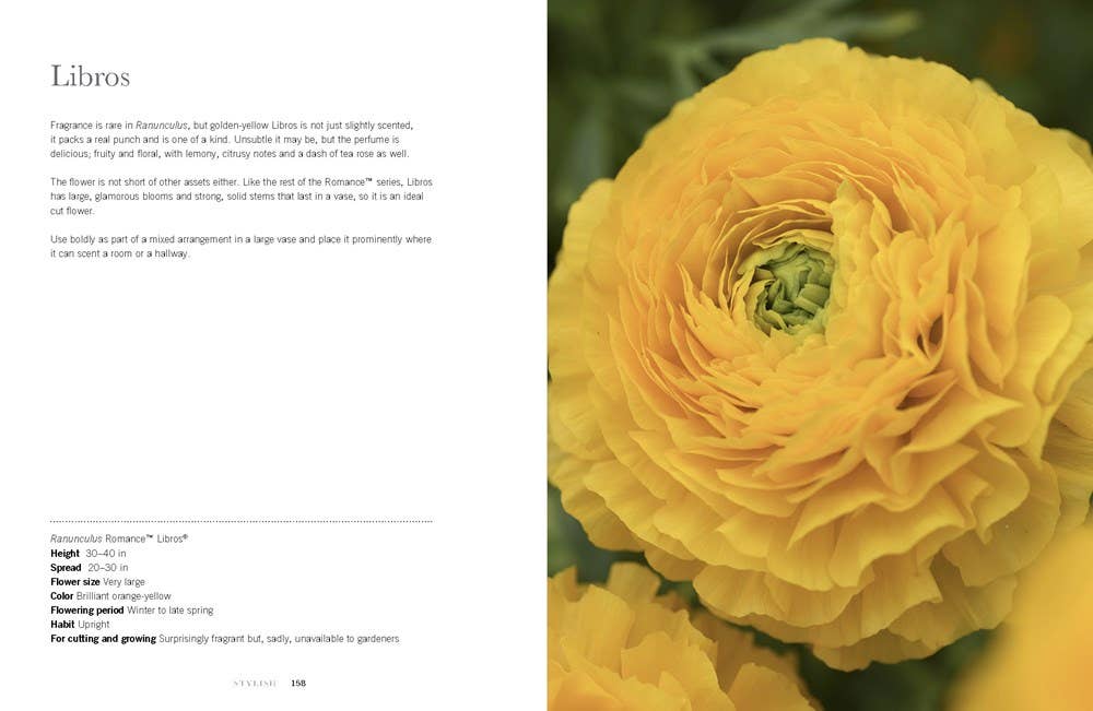 Ranunculus Hardcover Book: Beautiful varieties for home and garden