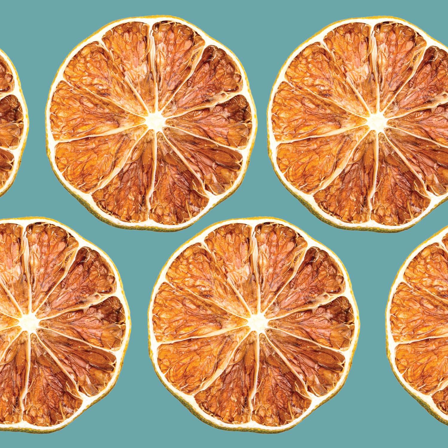Dehydrated Lime Wheels | All-Natural Cocktail Garnish