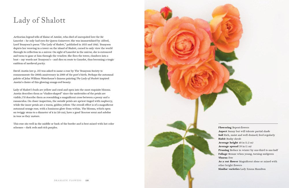 Vintage Roses Hardcover Book