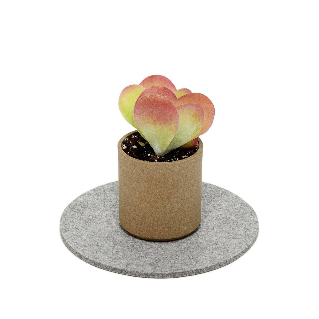 Round Merino Wool Felt Trivet 8": Granite