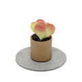 Round Merino Wool Felt Trivet 8": Granite