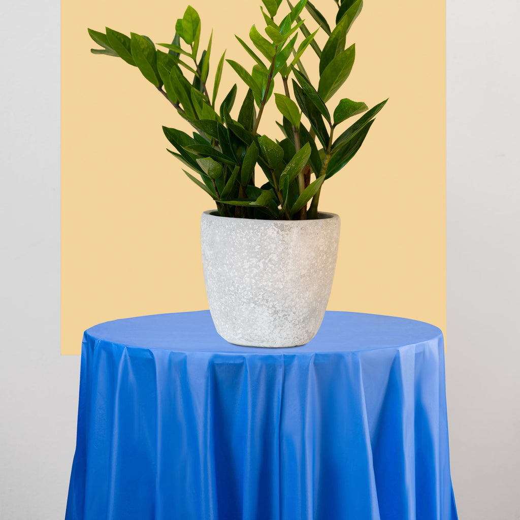 Navy Round Disposable Plastic Tablecloths (84")