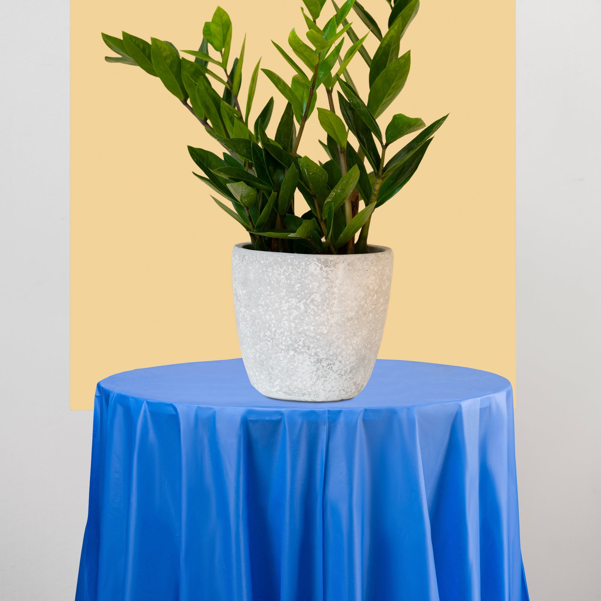 Navy Round Disposable Plastic Tablecloths (84")