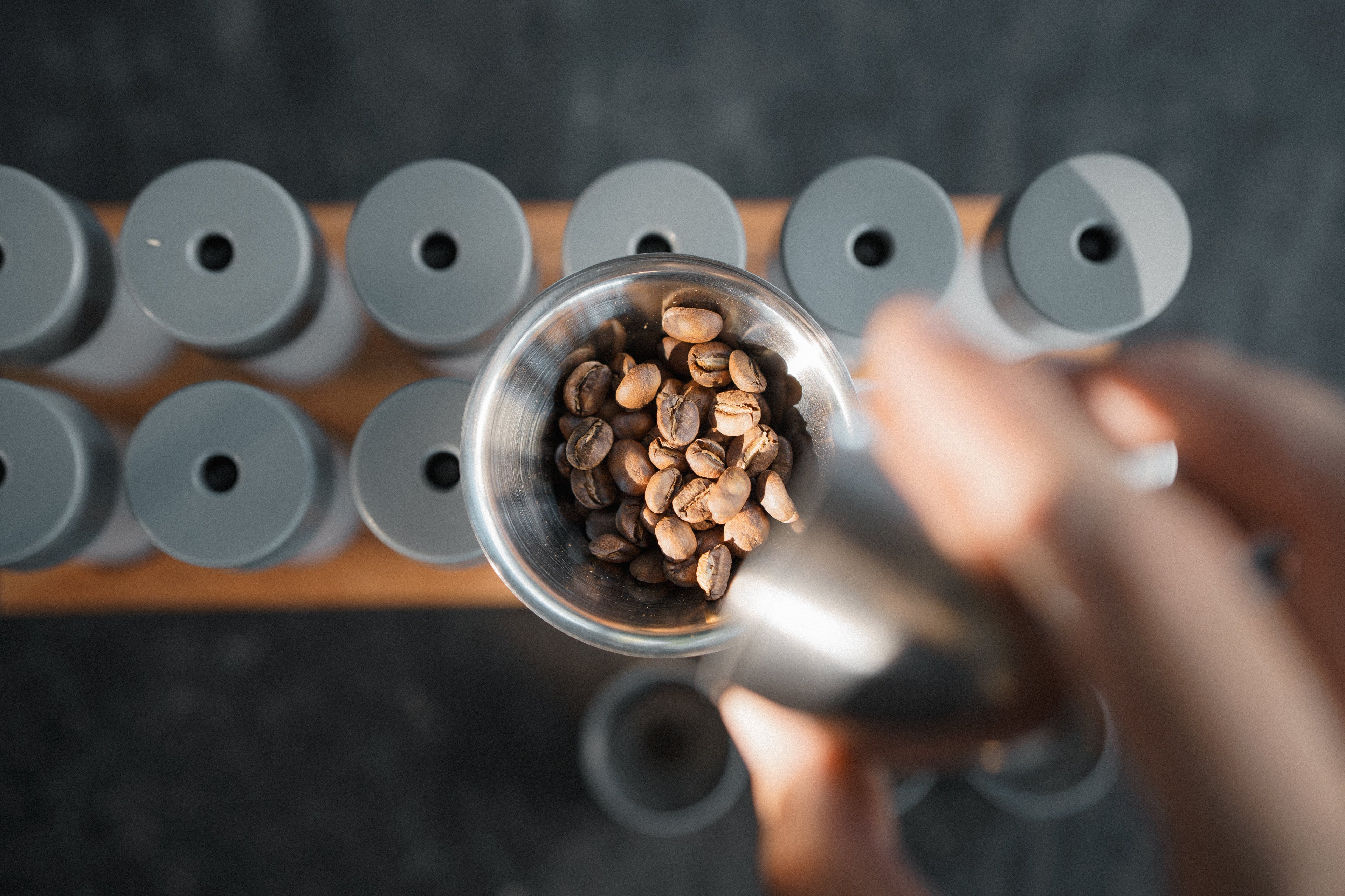 BEAN CELLAR Polymer Renewed