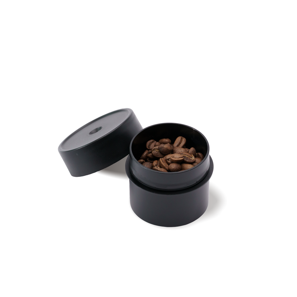 BEAN CELLAR SHORTY Polymer