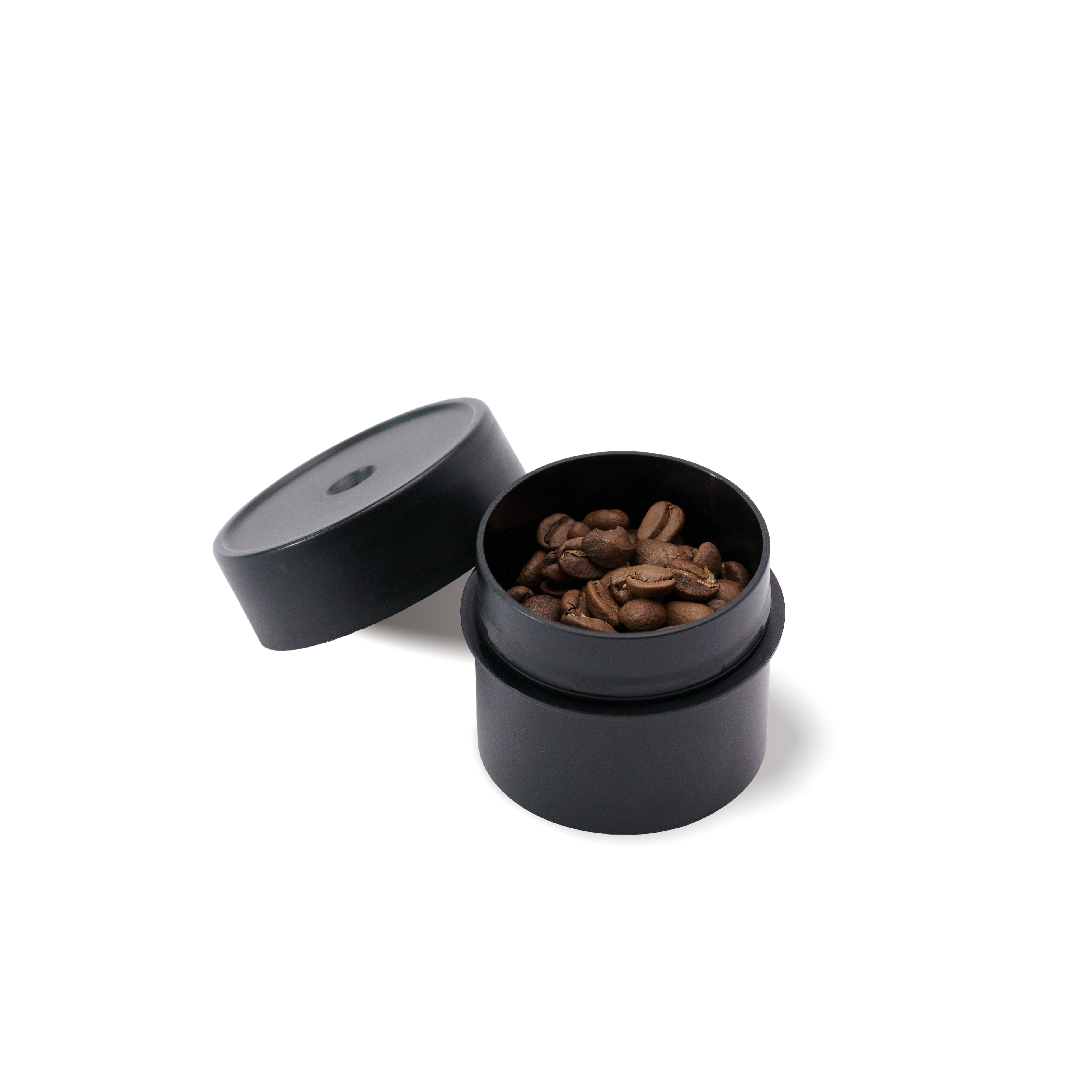 BEAN CELLAR SHORTY Polymer