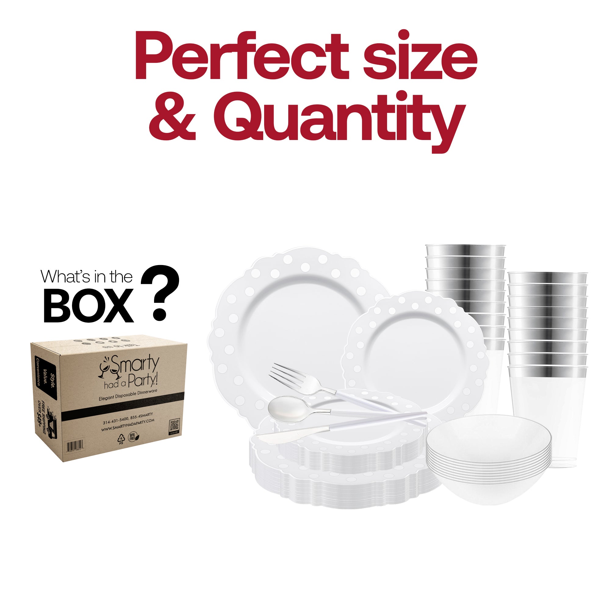 White with Silver Blossom Dots Disposable Plastic Tableware Set