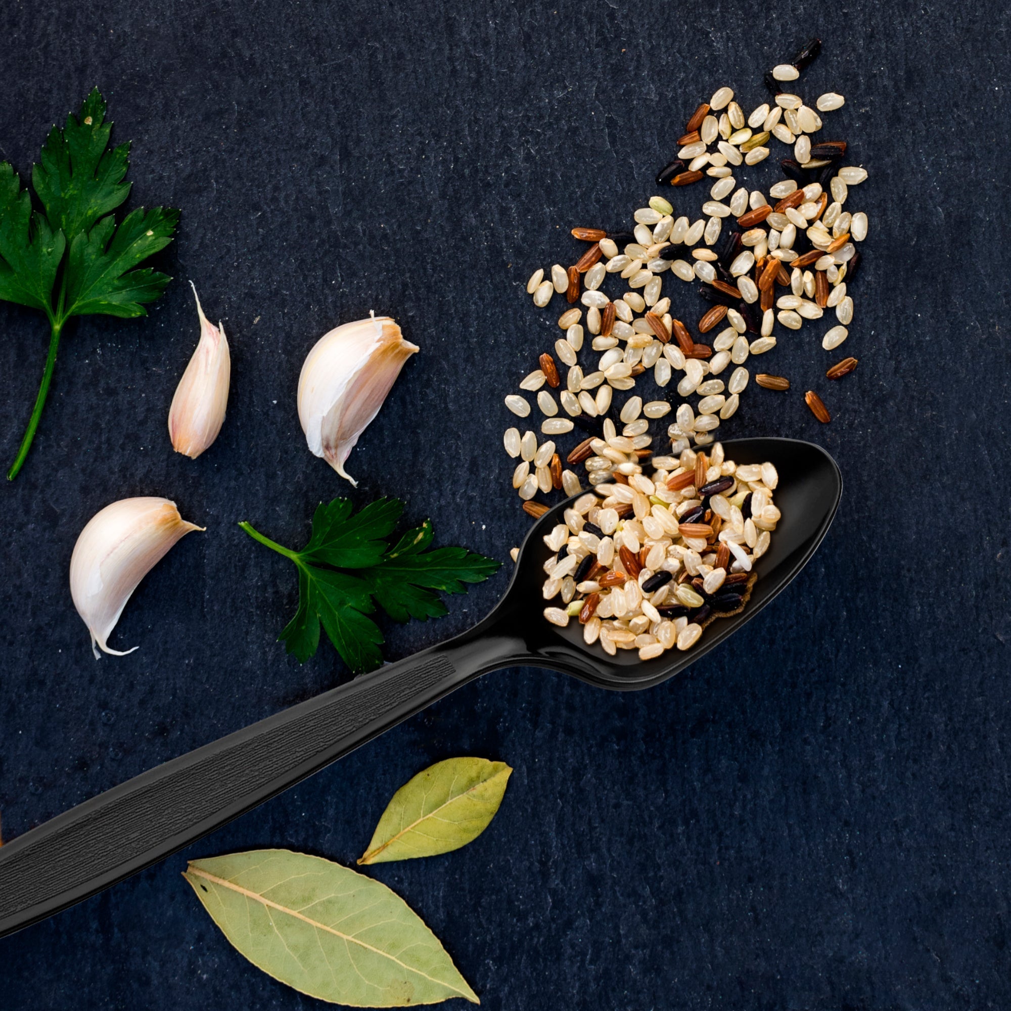 Black Plastic Disposable Spoons