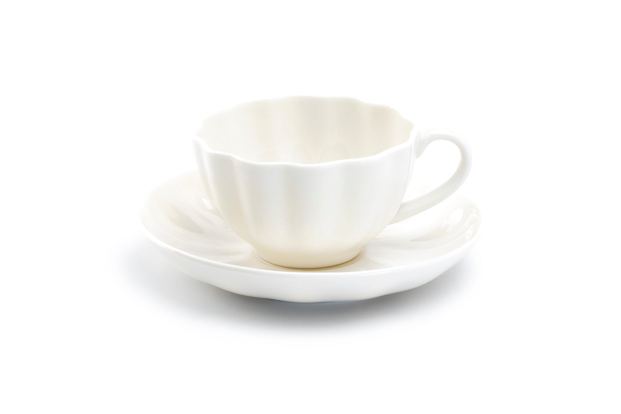 White Scallop Fine Porcelain Tea Cup and Saucer