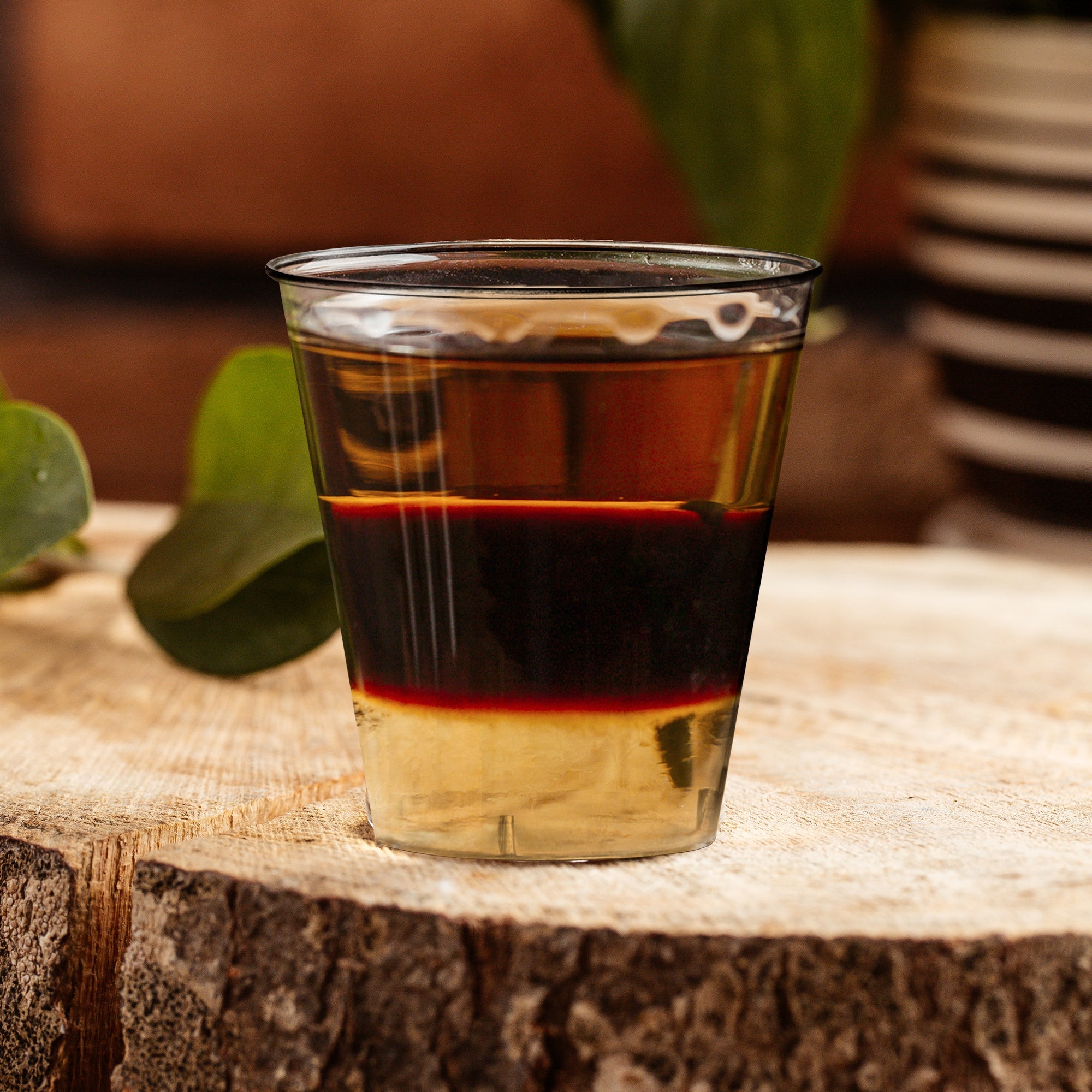 Clear Round Plastic Disposable Shot Glasses (2 oz. )