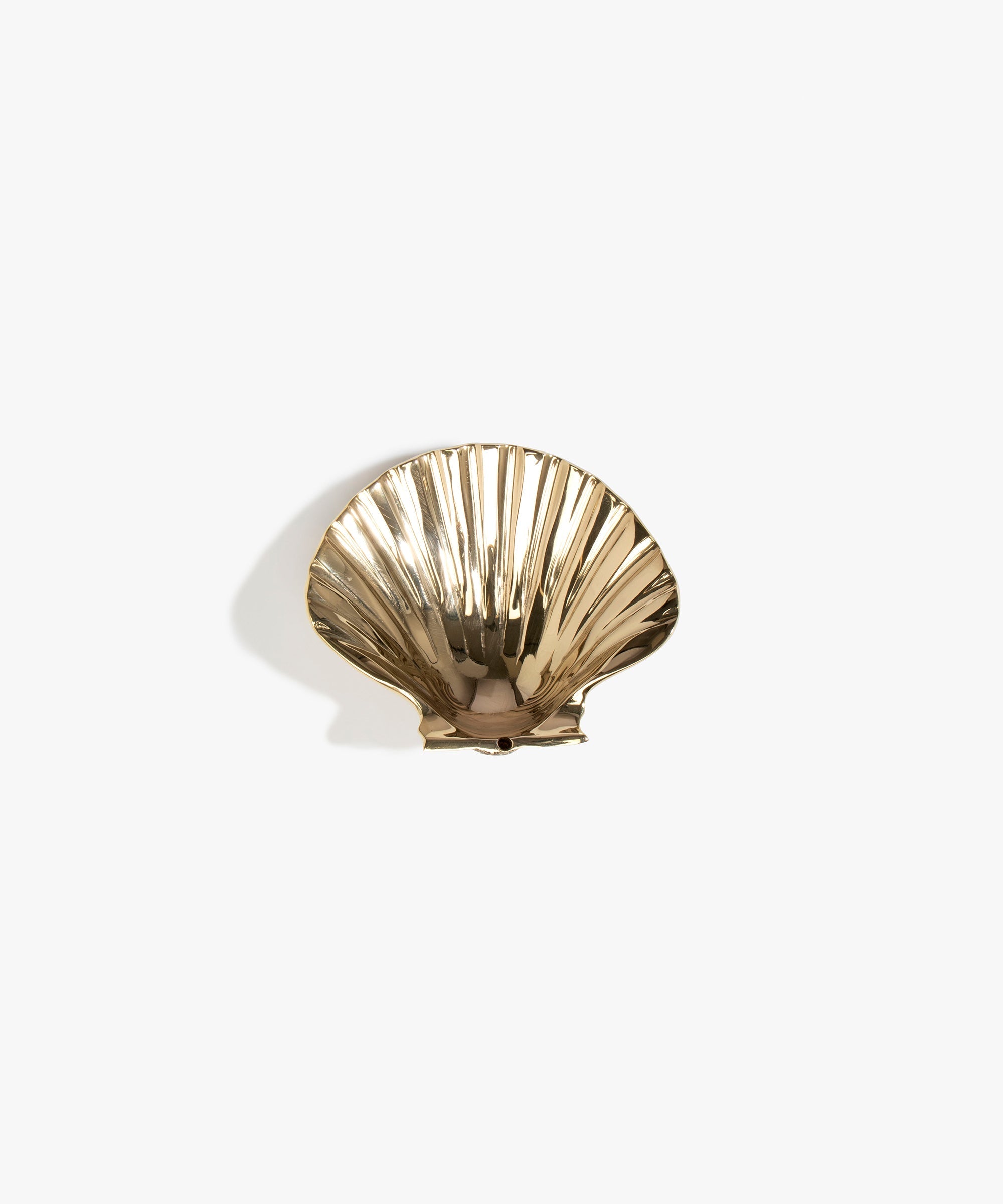 Scallop Incense Holder