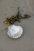 Raku Scallop Shell