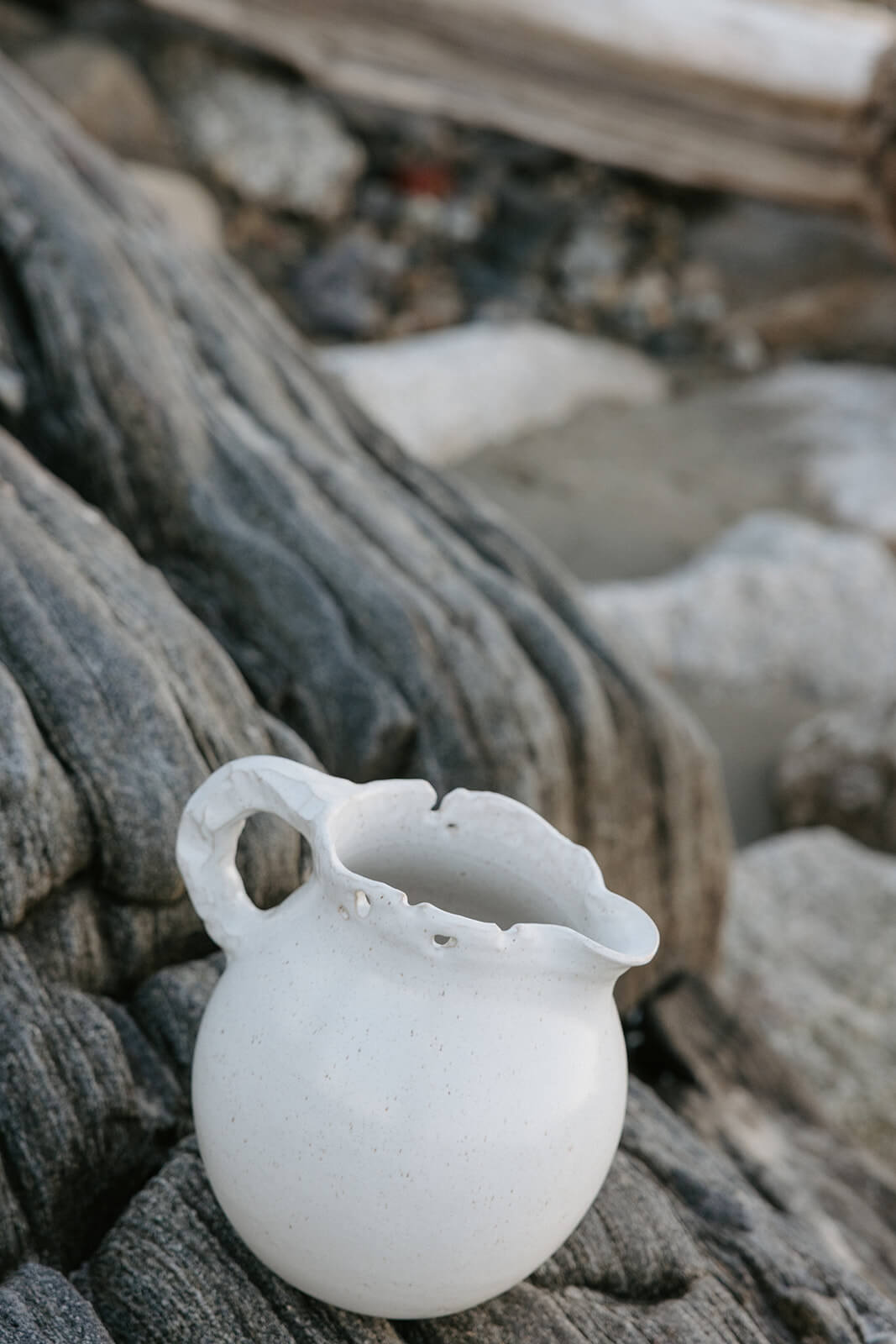 Lunaria Pitcher