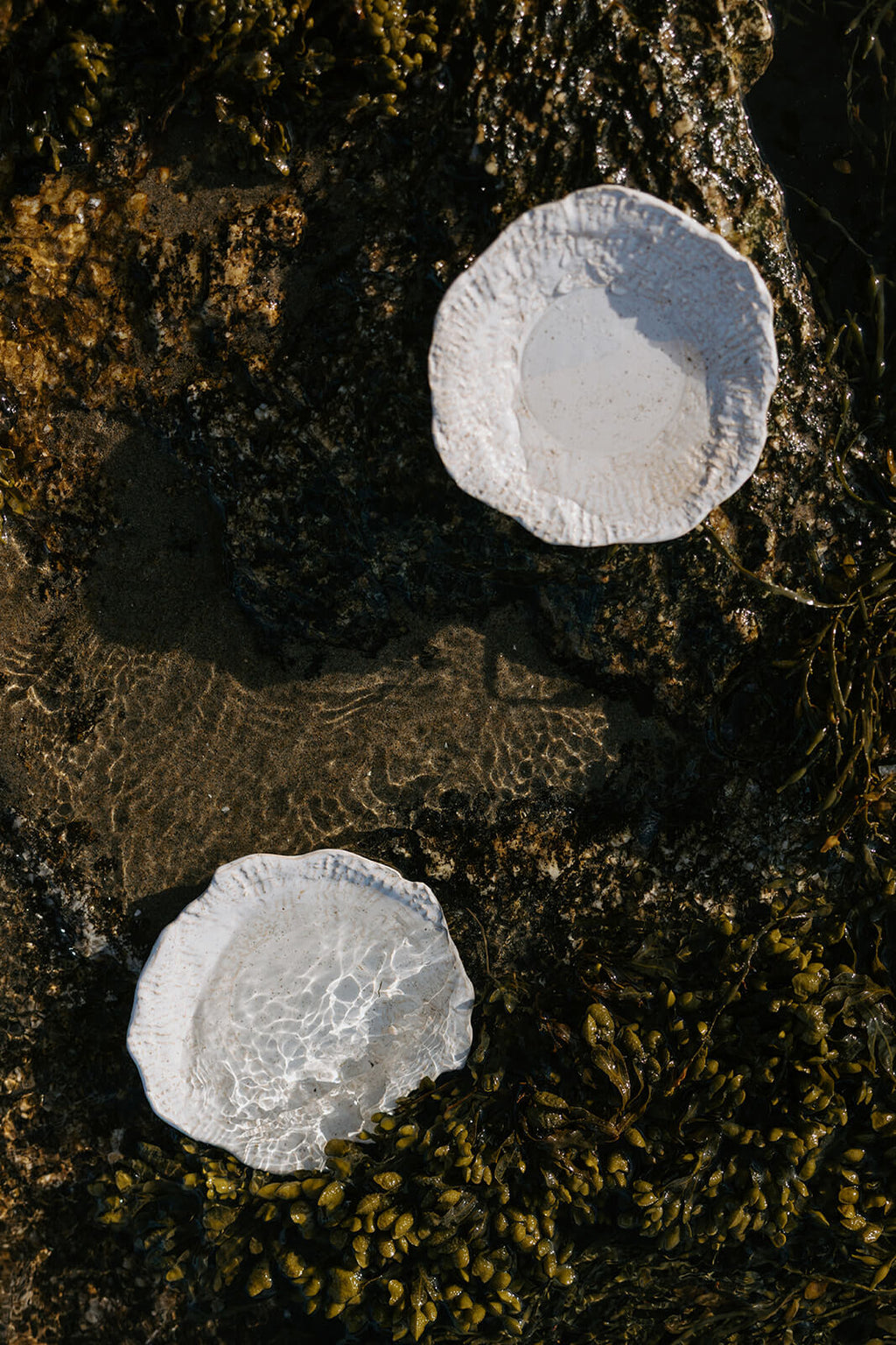 Lunaria Oyster Dish