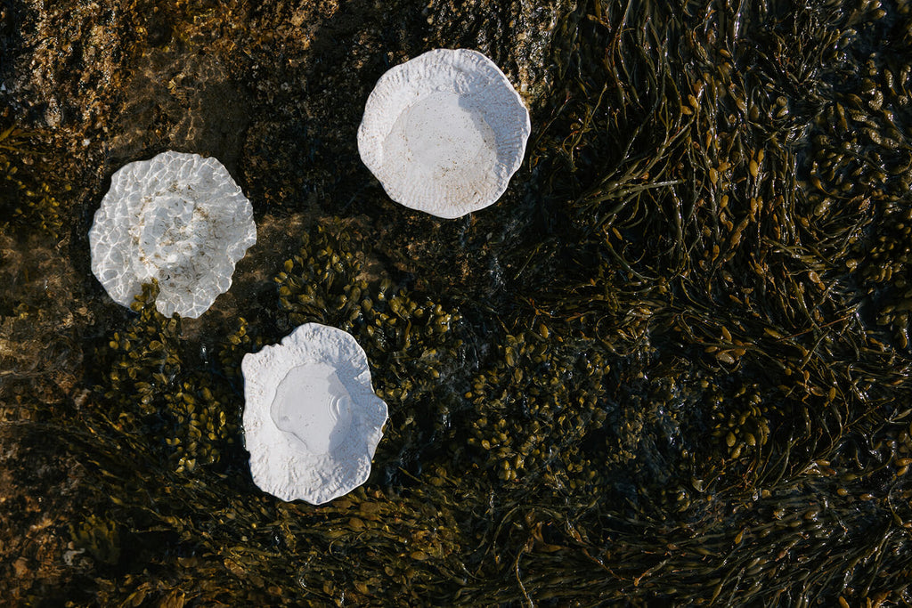 Lunaria Oyster Dish