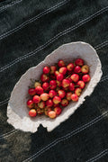 Lunaria Oyster Oval Dish