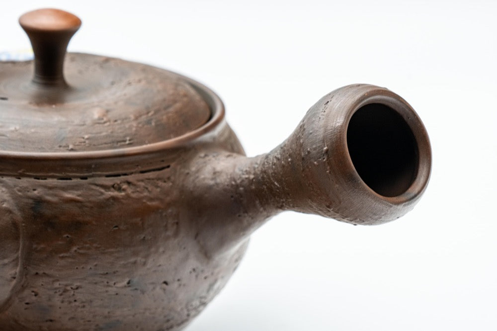Japanese Kyusu - 亀岡克史 Kameoka Katsushi - 素三 Motozo - Floral Engraved Textured Tokoname-yaki Teapot - 200ml
