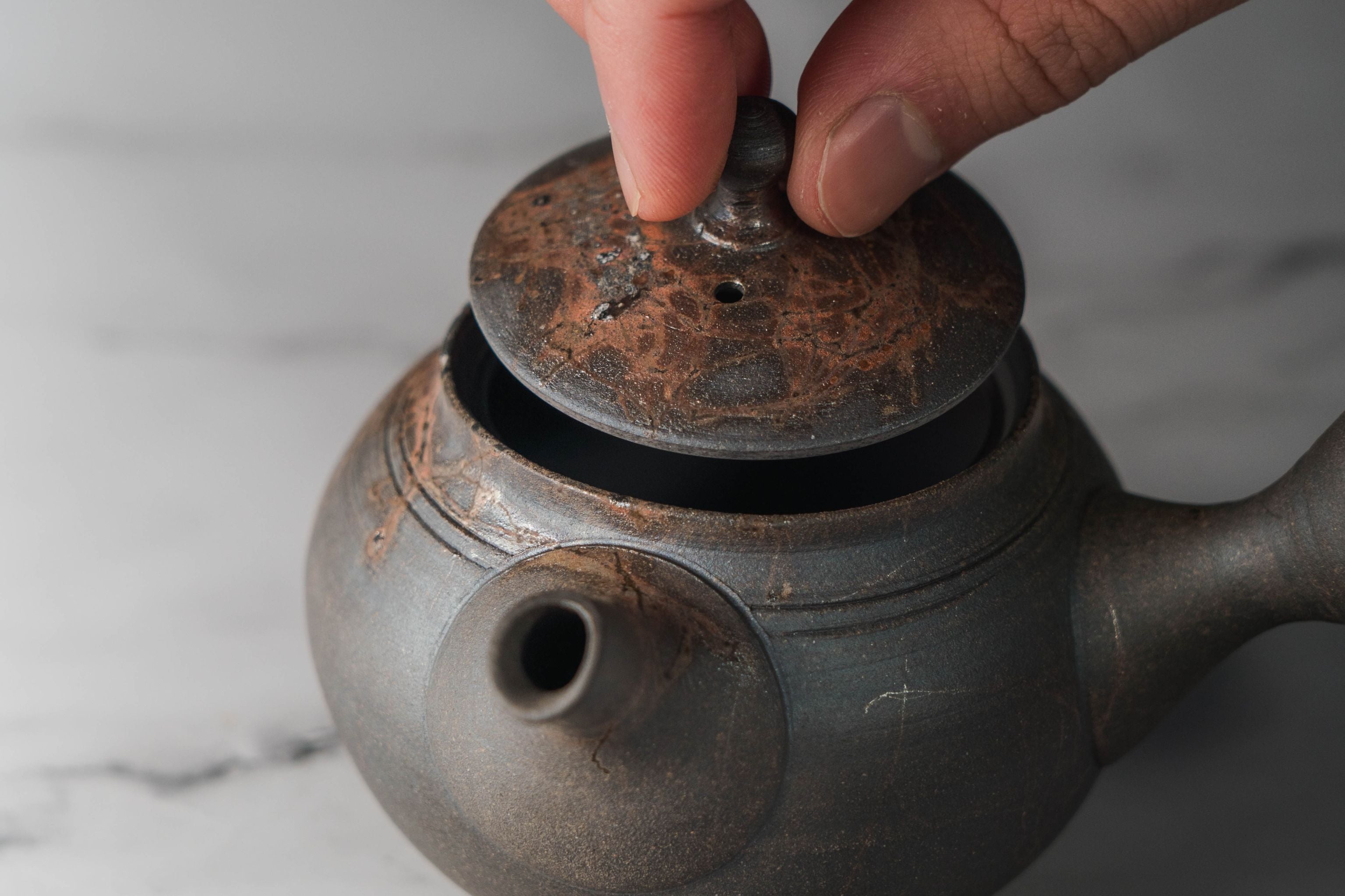 Mogake Yakishime Tokoname Teapot - 210ml