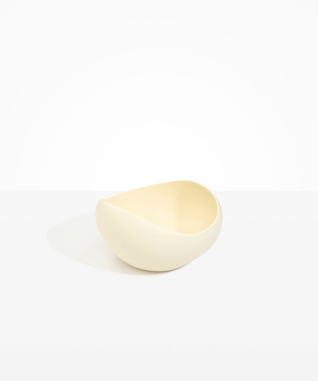 Large Beetle Bowl