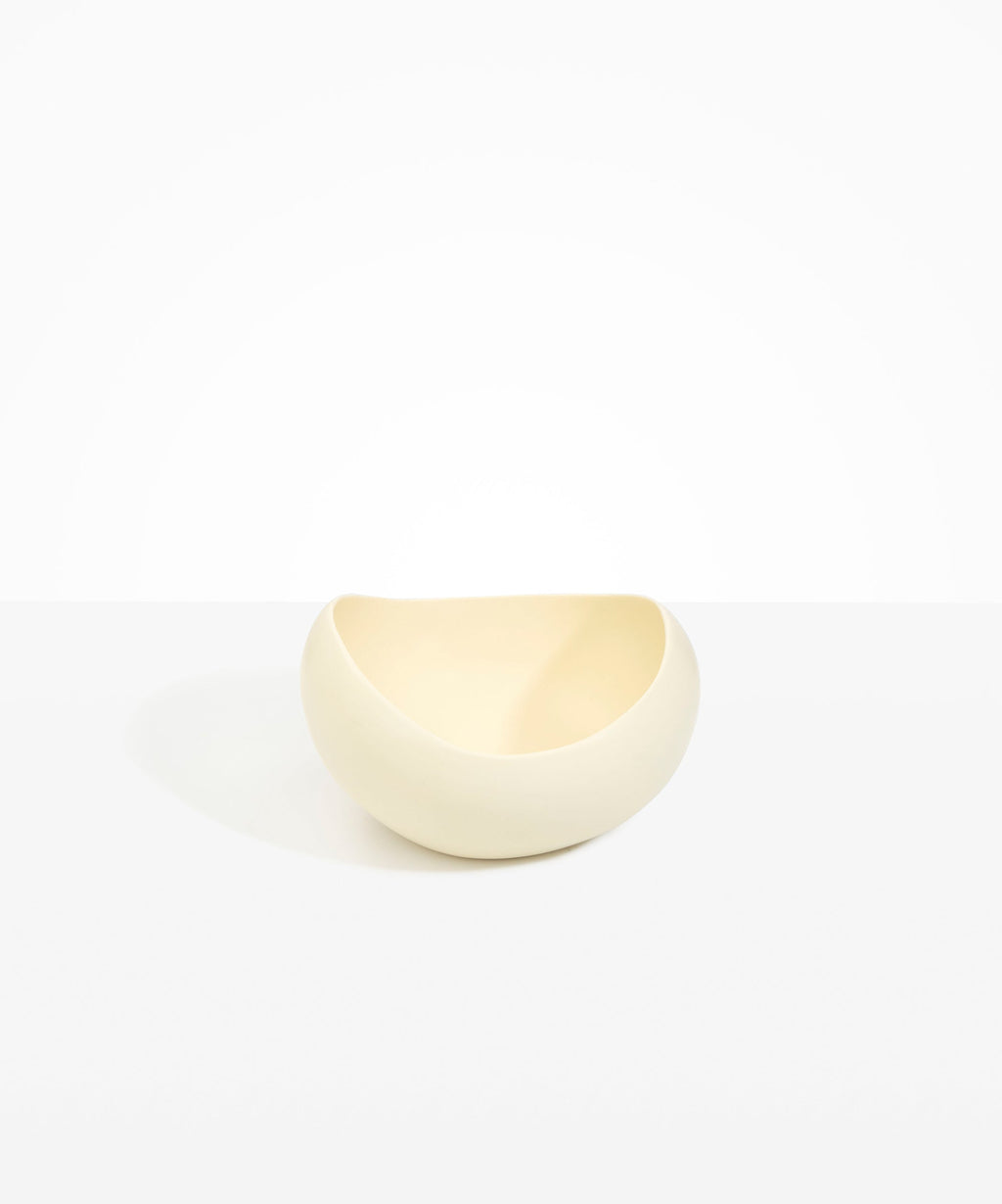 Large Beetle Bowl