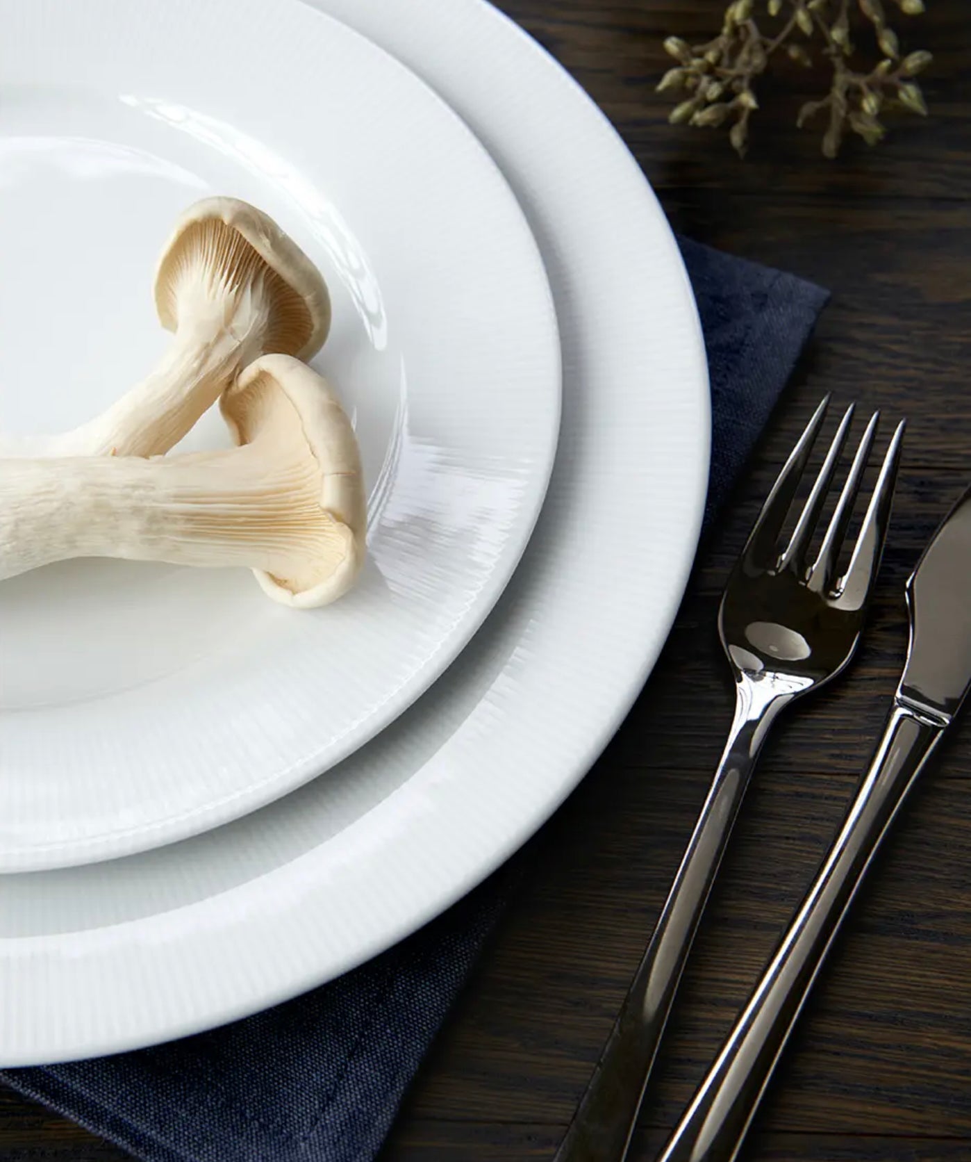 Pillivuyt Eventail Rimmed Dinnerware