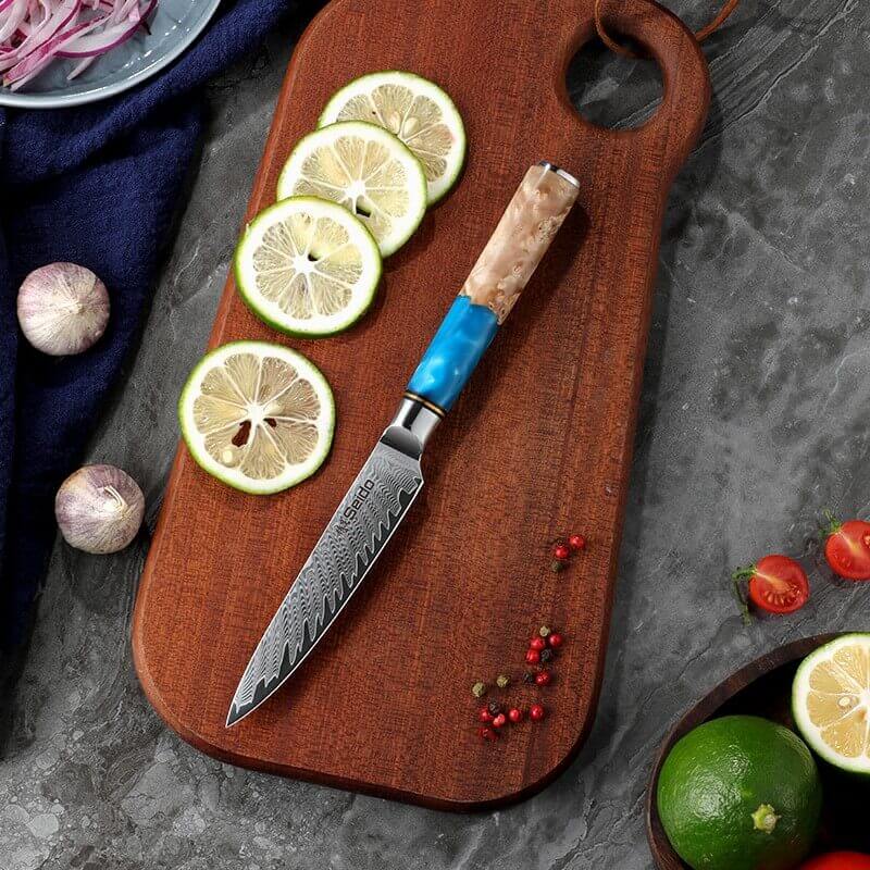 Executive Japanese Damascus Steel Knife Set