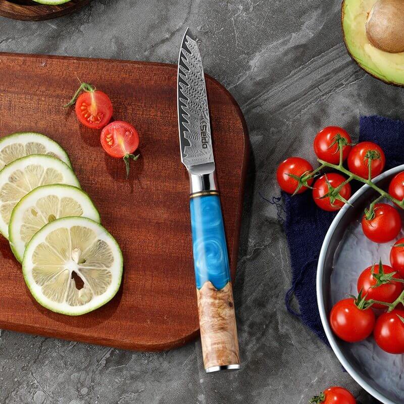 Executive Japanese Damascus Steel Knife Set