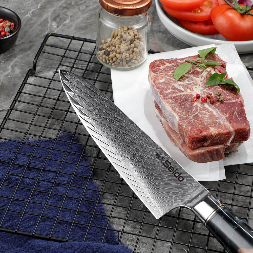 Gyuto Executive Chef Knife with Black Resin Handle
