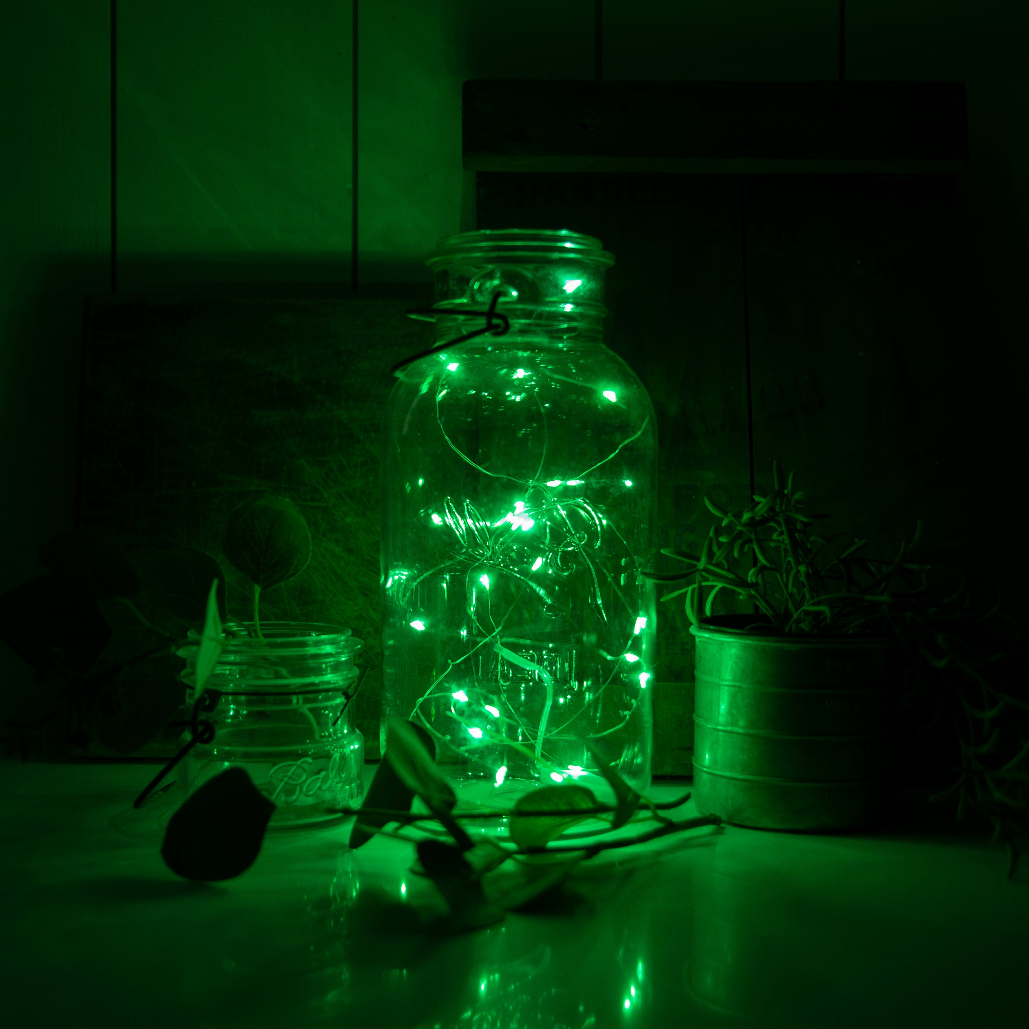 7ft Diy Fairy String Lights - 12 Pack