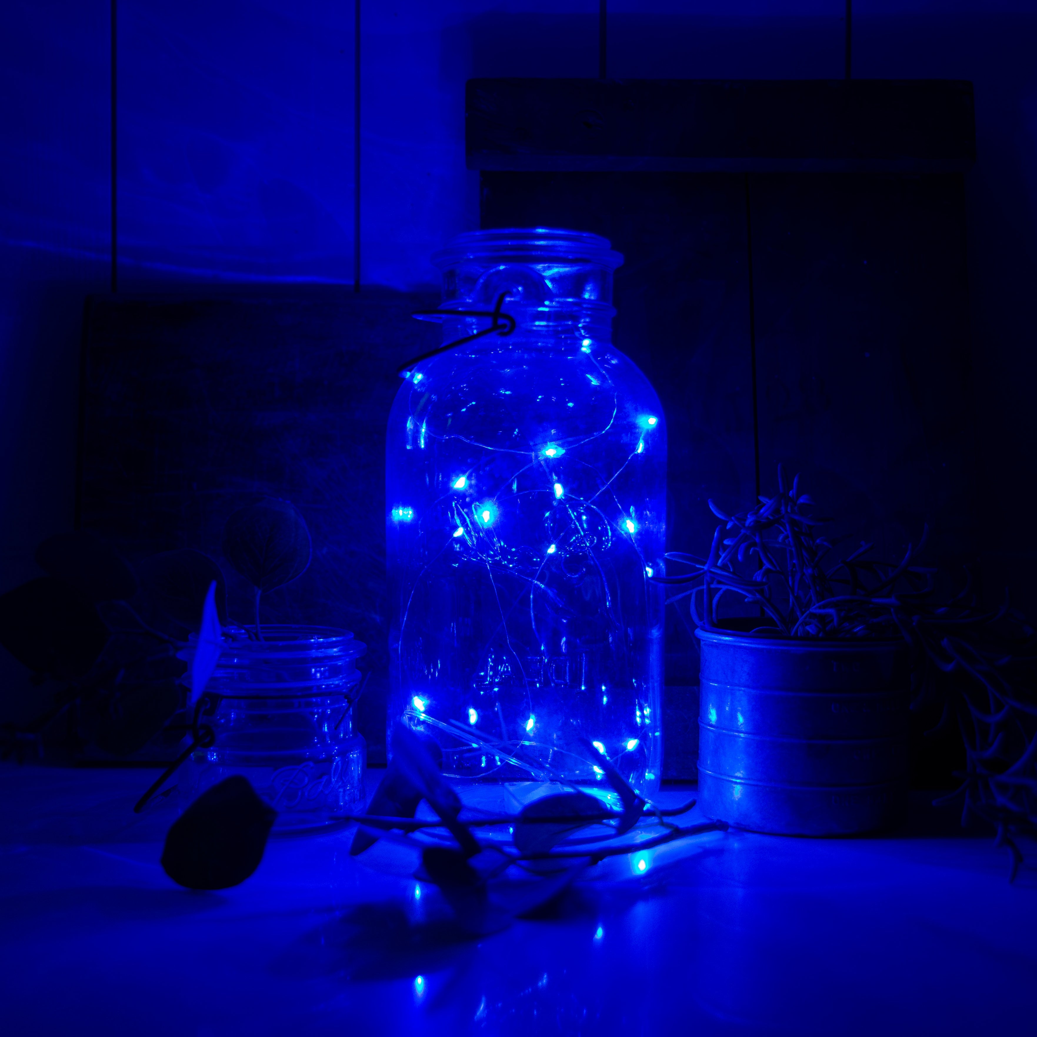 7ft Diy Fairy String Lights - 12 Pack