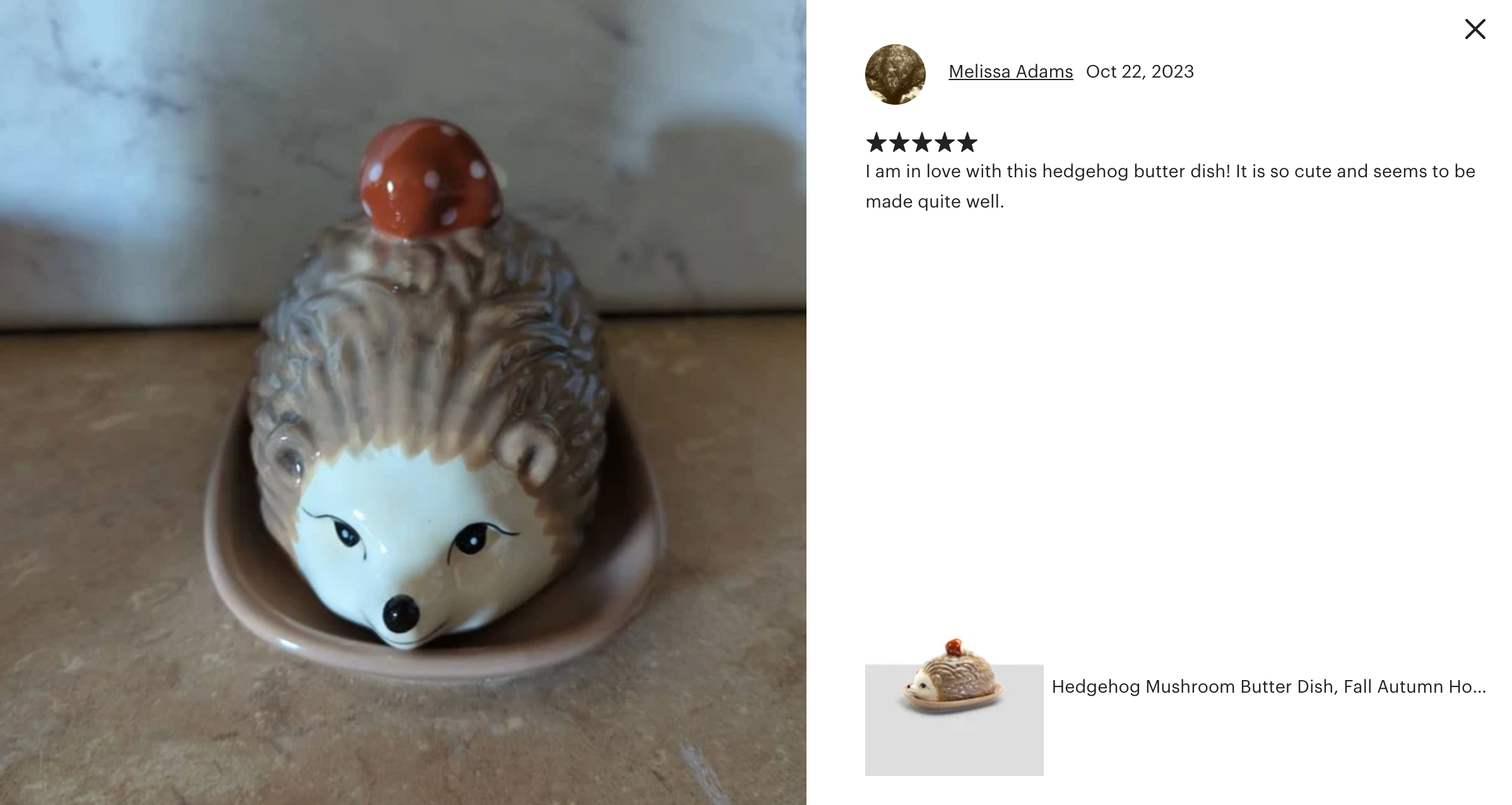 Brown Hedgehog Butter Dish