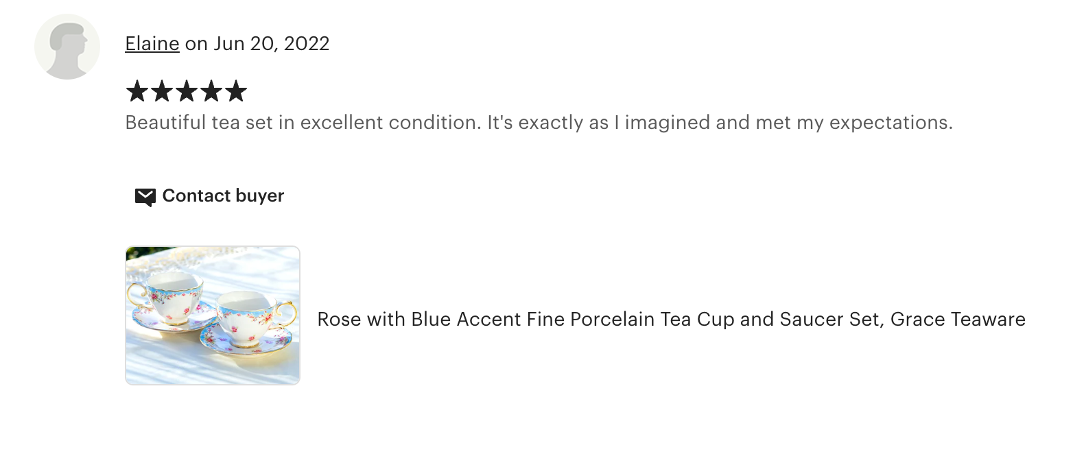 Rose with Blue Accent Fine Porcelain Tea Cup and Saucer