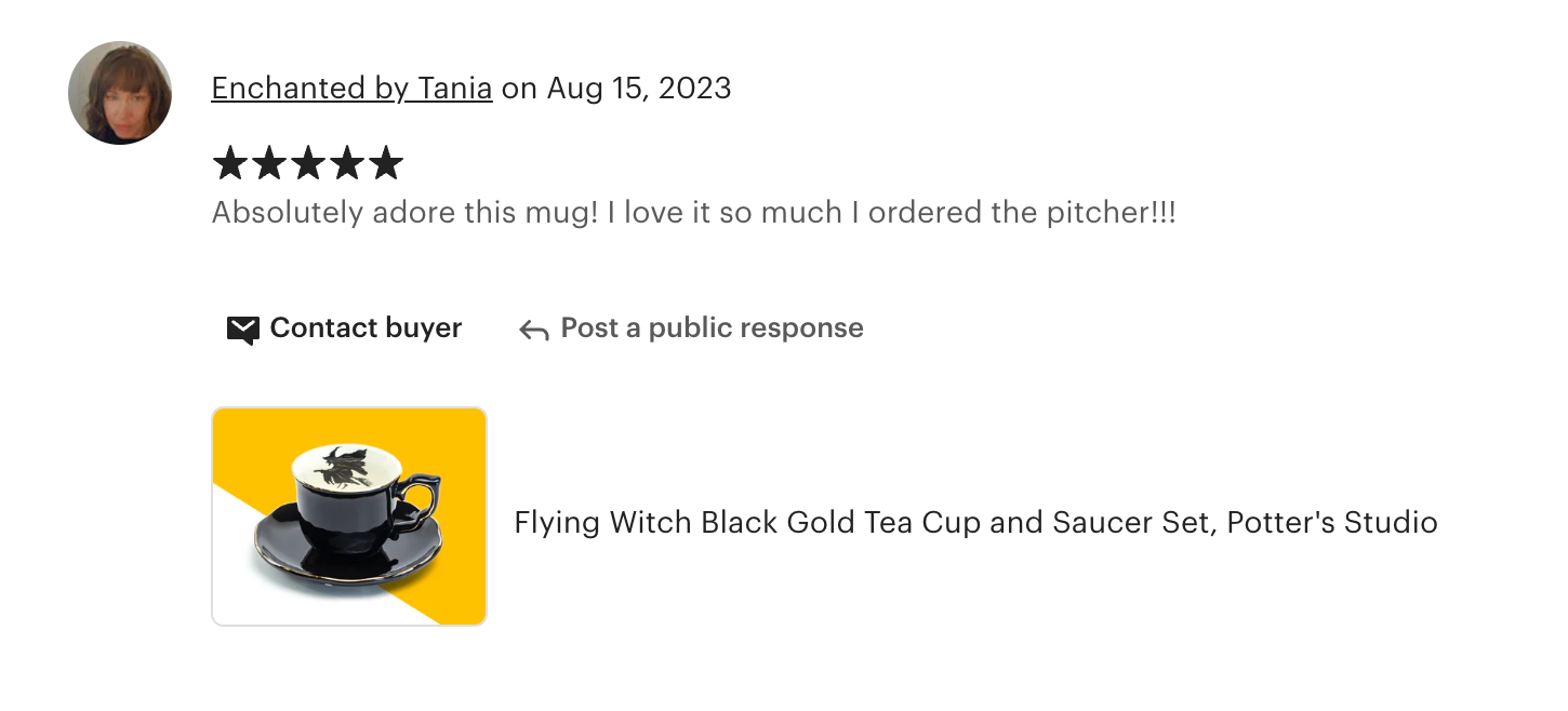 Flying Witch Black Gold Tea Cup and Saucer