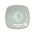 Noritake Colorwave Tera Cotta Square Salad Plate