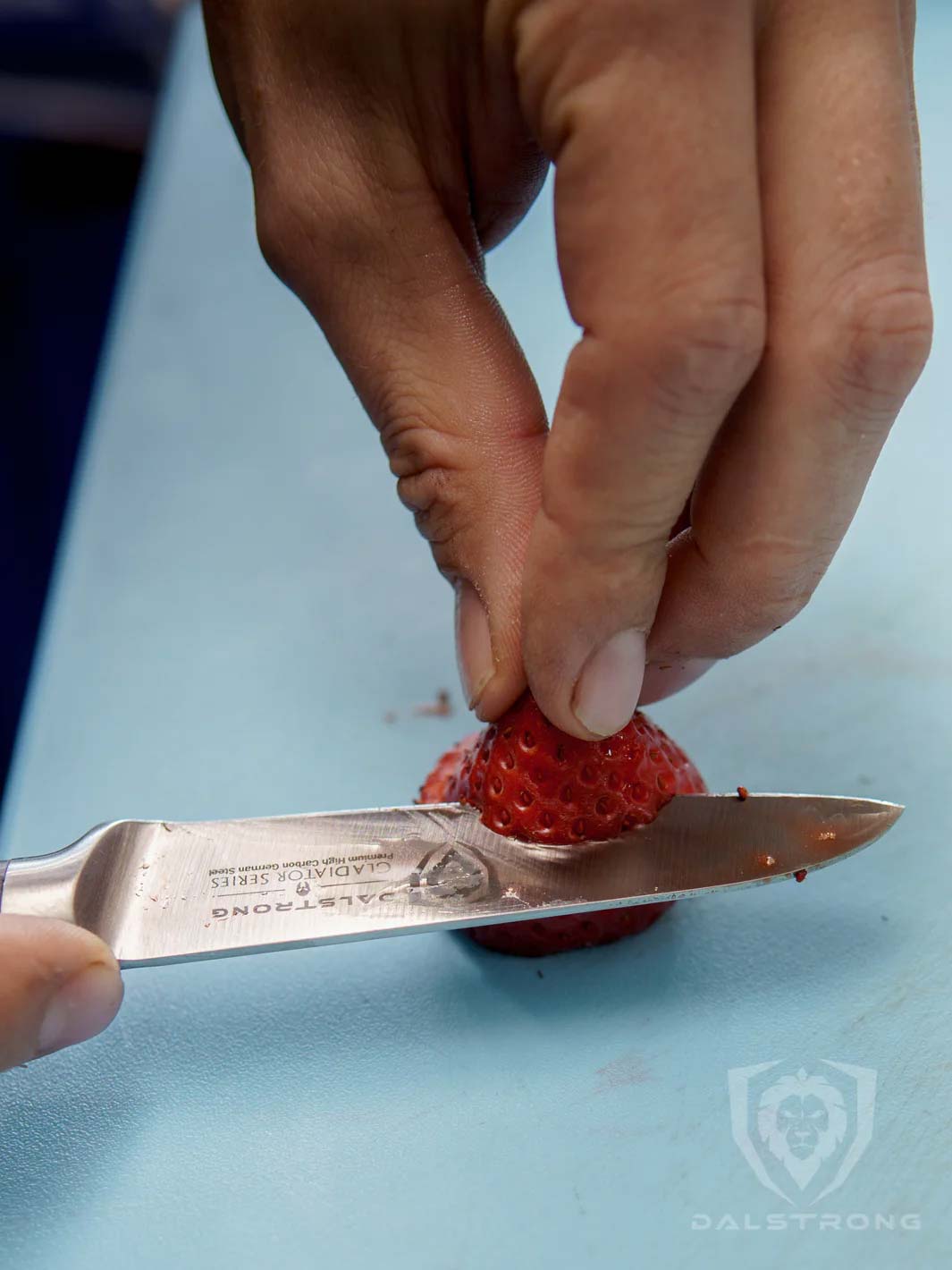 The Gladiator Bundle | 8" Chef's Knife + 3.5" Paring Knife