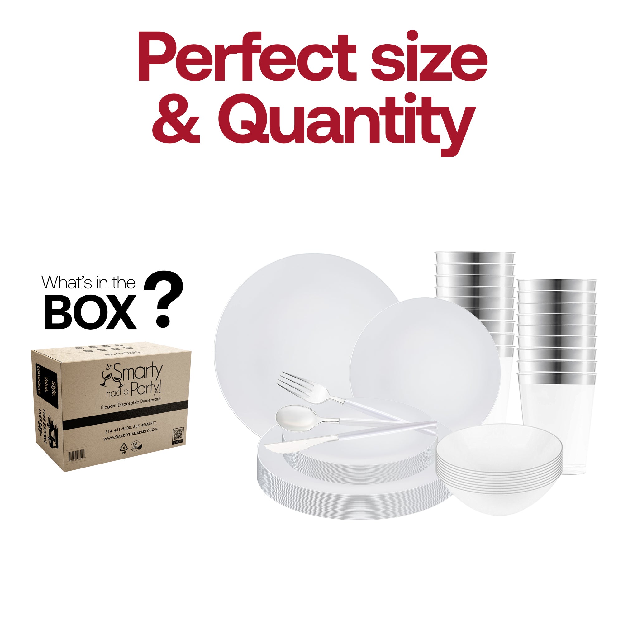 White with Silver Organic Disposable Plastic Tableware Set