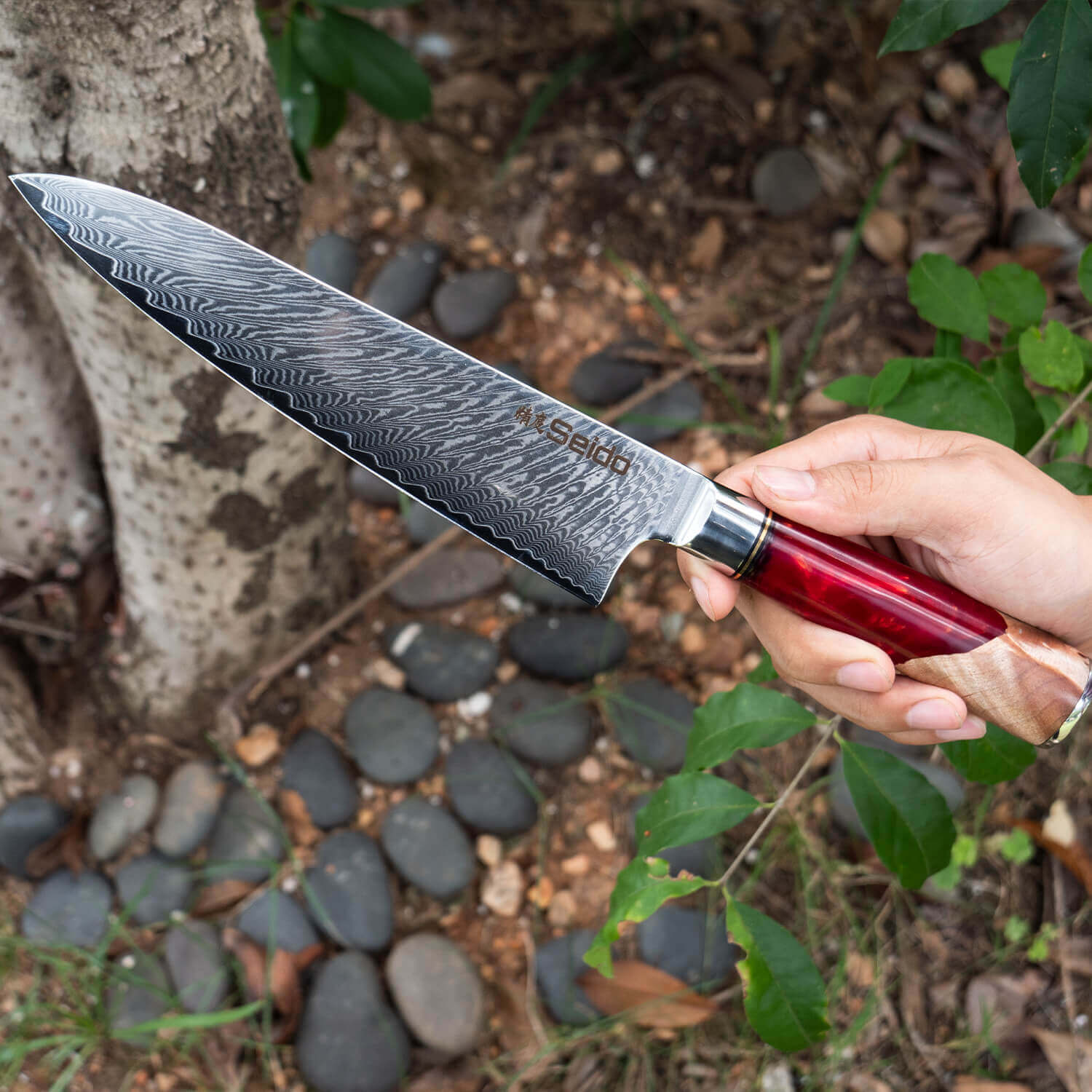 Gyuto Executive Chef Knife with Red Resin Handle