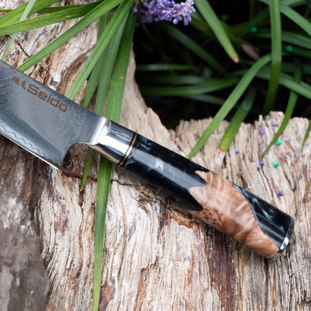 Gyuto Executive Chef Knife with Black Resin Handle