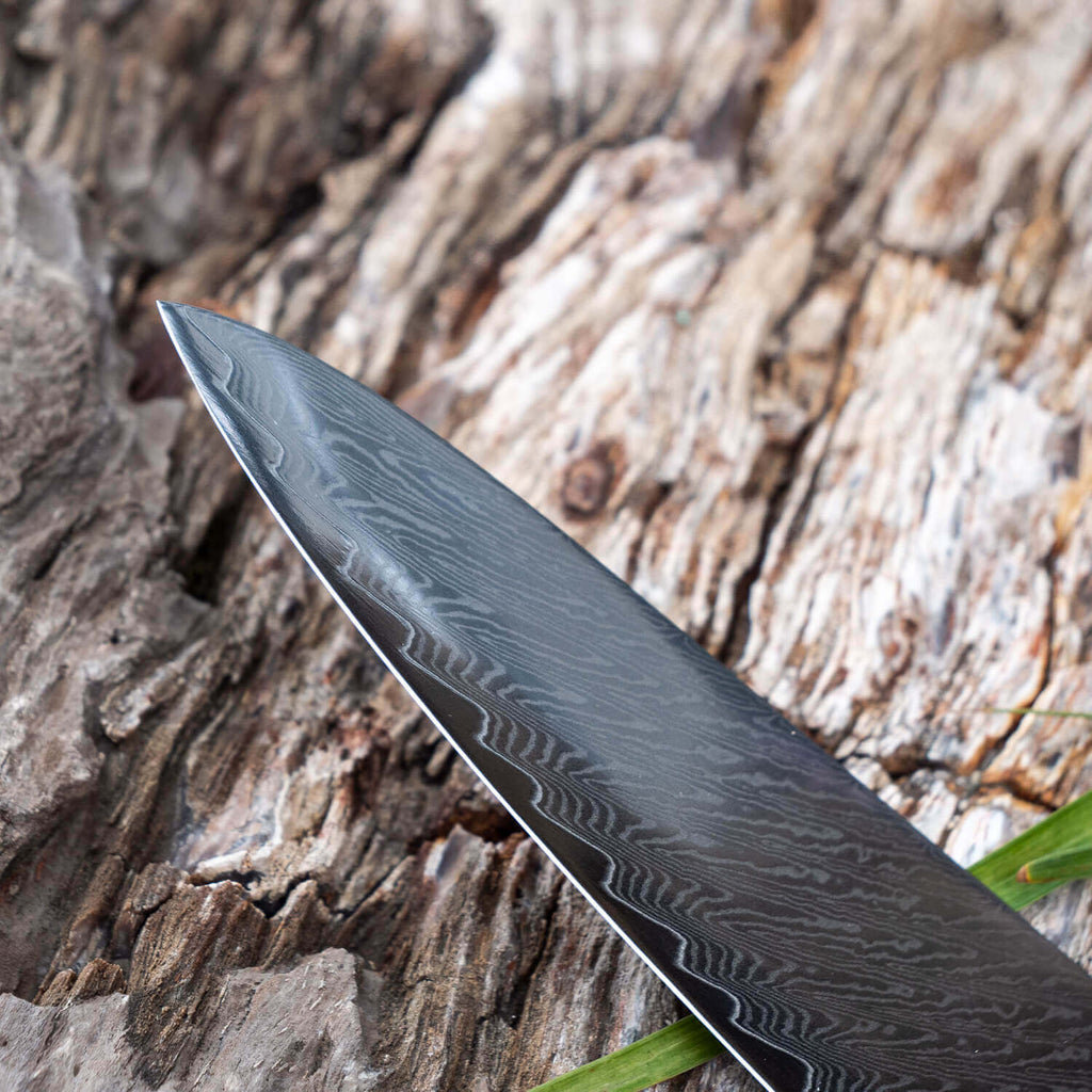 Gyuto Executive Chef Knife with Black Resin Handle
