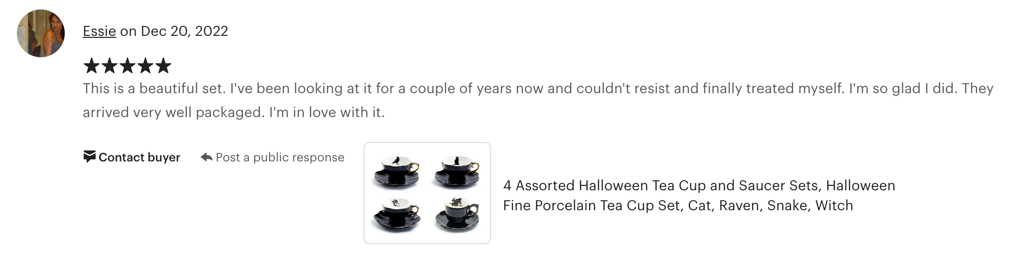 4 Assorted Halloween Tea Cup and Saucer Sets - Raven, Cat, Snake, Witch