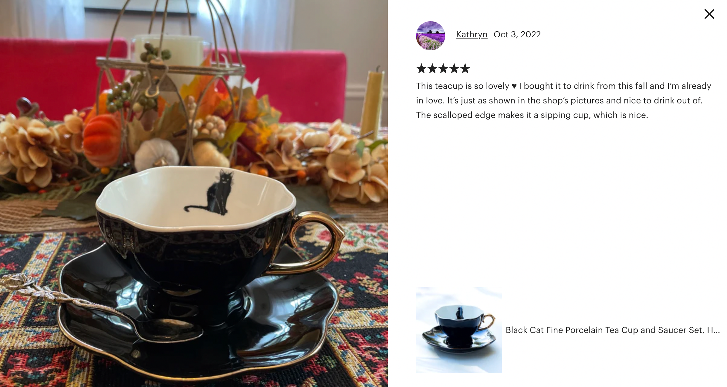 Black Cat Black Gold Tea Cup and Saucer