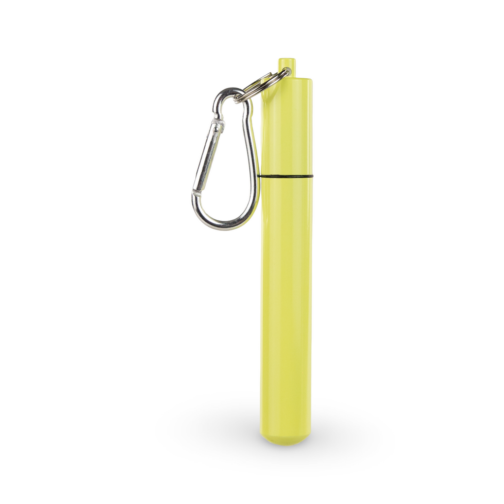 Daydream Club – 11" Portable Straw