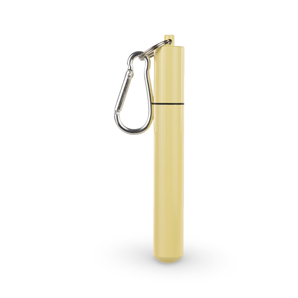 Daydream Club – 11" Portable Straw