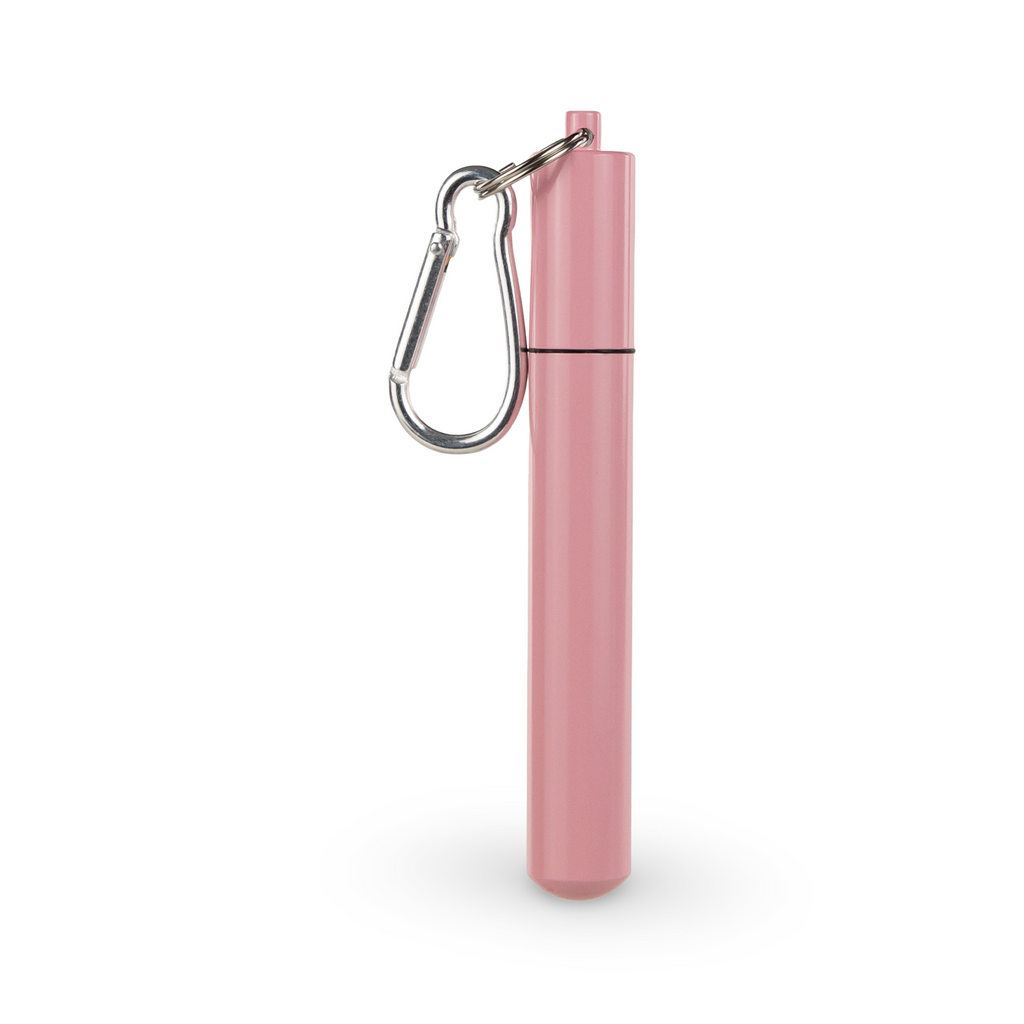 Daydream Club – 11" Portable Straw