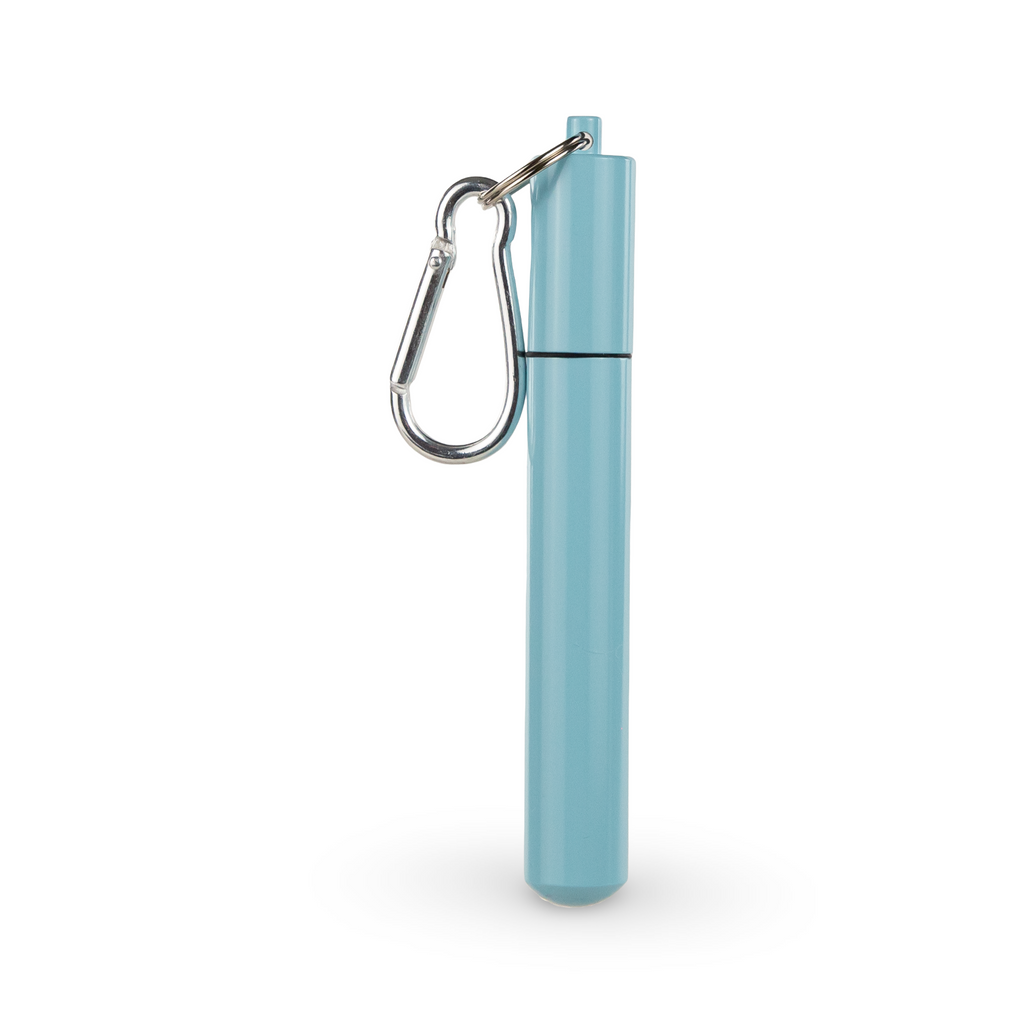 Daydream Club – 11" Portable Straw