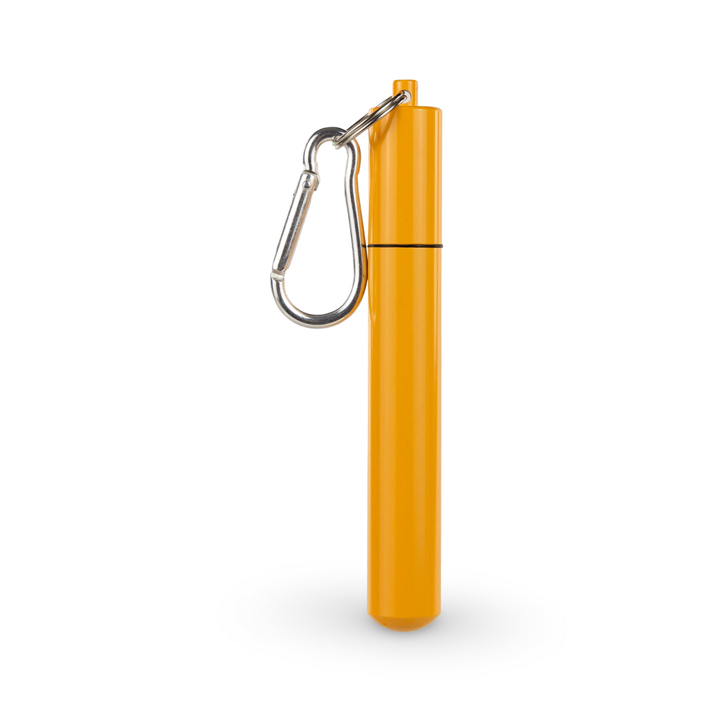 Daydream Club – 11" Portable Straw