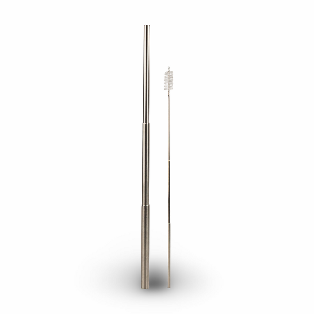 Daydream Club – 11" Portable Straw