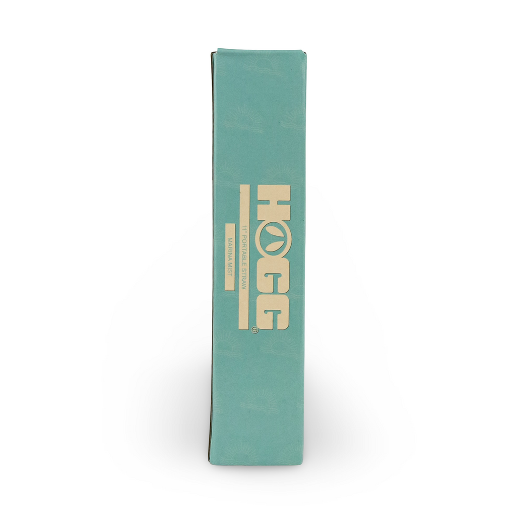 Daydream Club – 11" Portable Straw