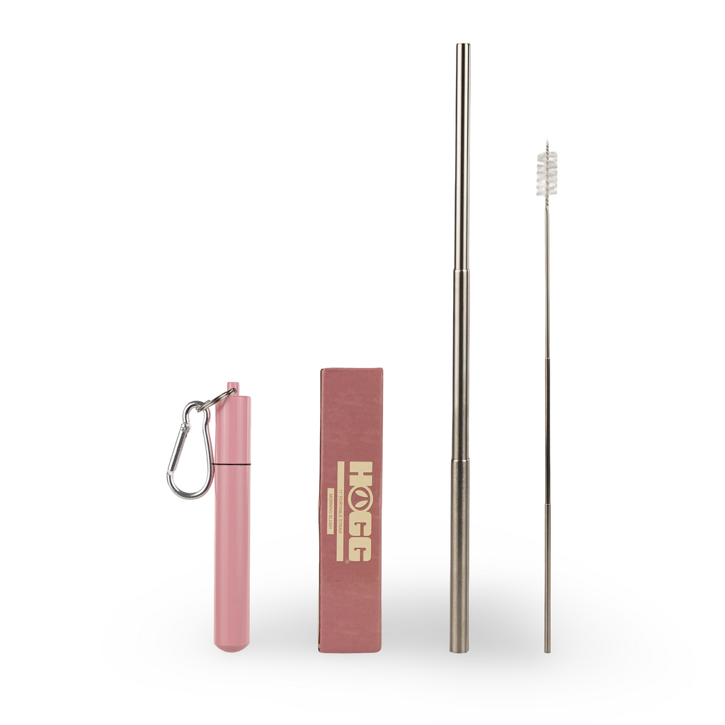 Daydream Club – 11" Portable Straw